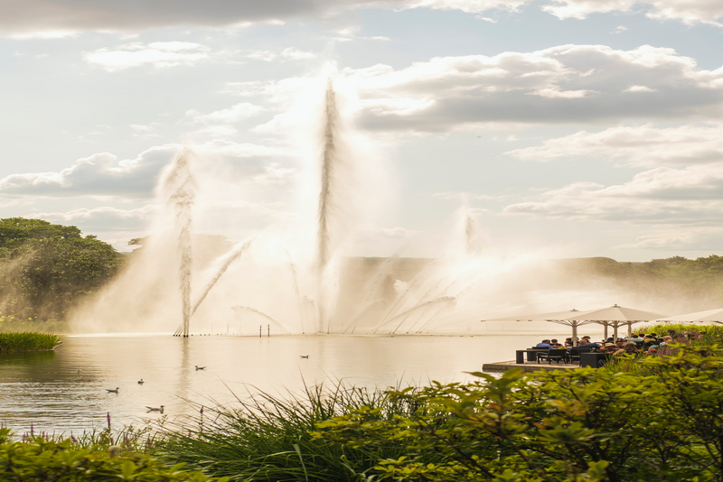The Alster fountain in summer