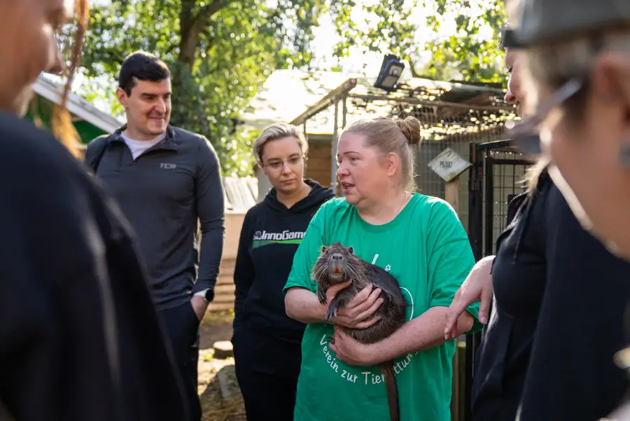 Colleagues meeting one of the residents of an animal shelter