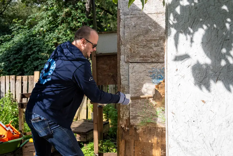 A colleague scraping an old wooden wall