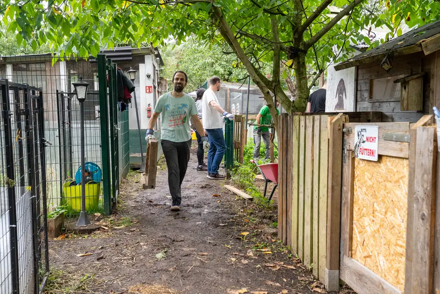 Colleagues working along a path at an animal shelter